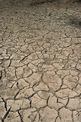 Drought_1