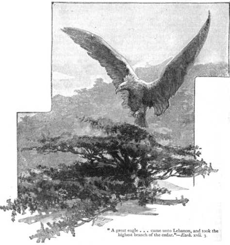 Eagle Eagle