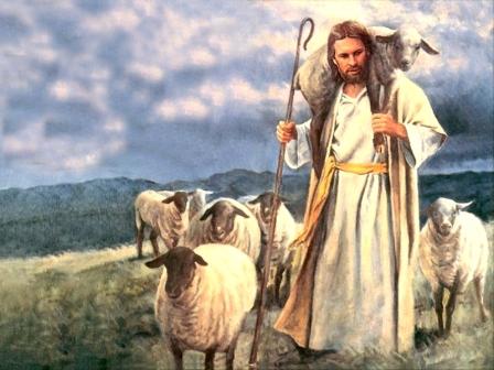 Jesus_sheep